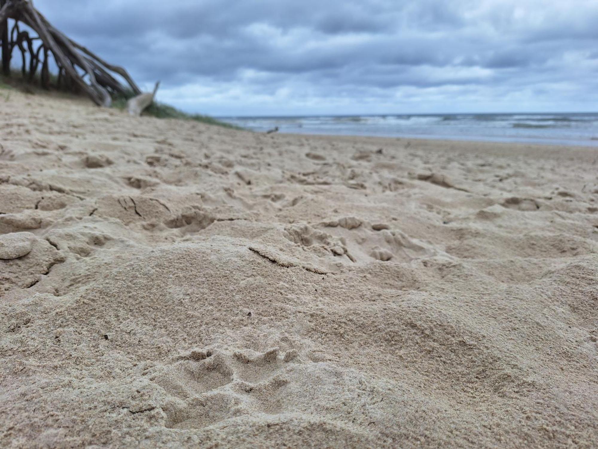 Ballina Beach Nature Resort Exterior foto